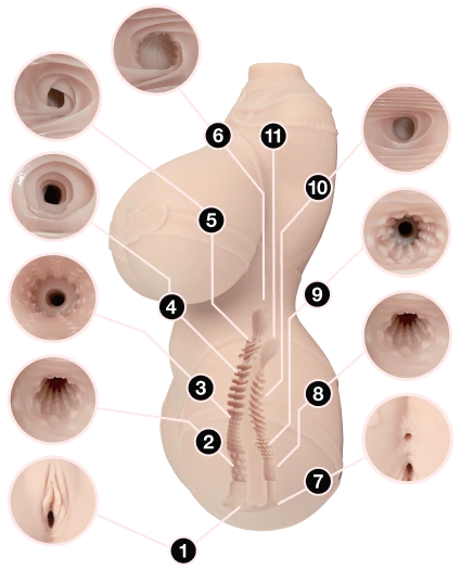 Cross-section: 11 pleasure points across both tunnels