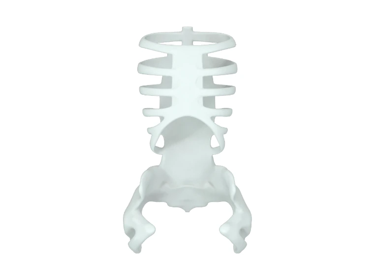 The printed ribcage and pelvis, before a drop of TPE touches them.